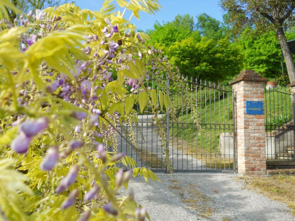 Tenuta Calabiana Diano d'Alba Bilik gambar