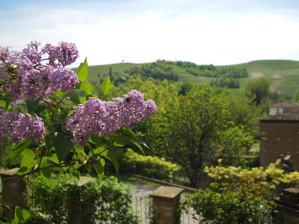 Tenuta Calabiana Diano d'Alba Bilik gambar