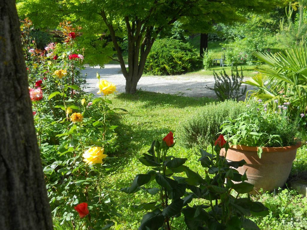 Tenuta Calabiana Diano d'Alba Bilik gambar