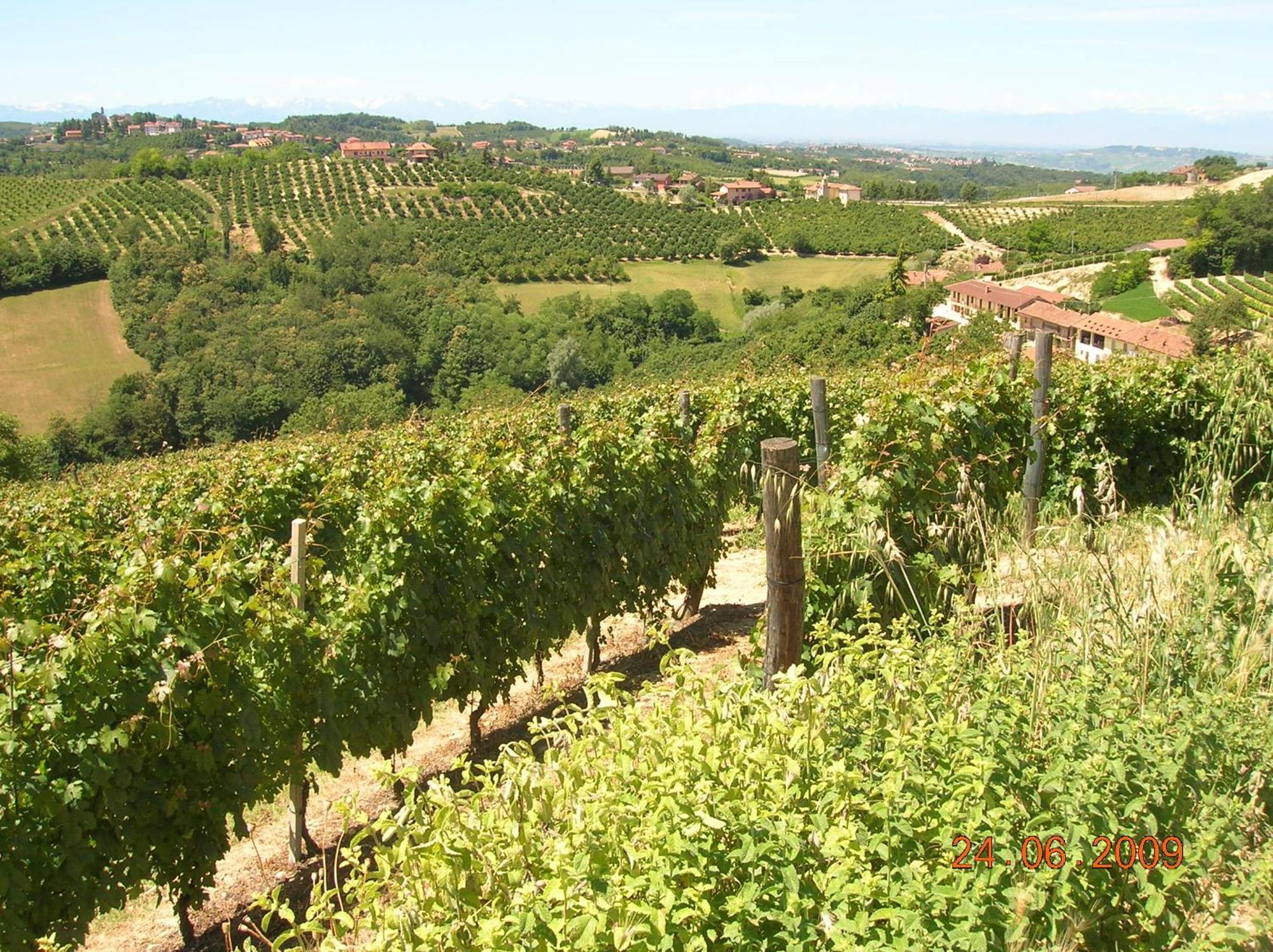 Tenuta Calabiana Diano d'Alba Luaran gambar
