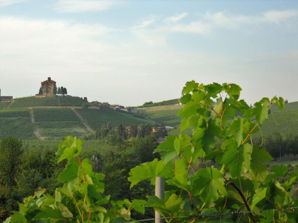 Tenuta Calabiana Diano d'Alba Bilik gambar