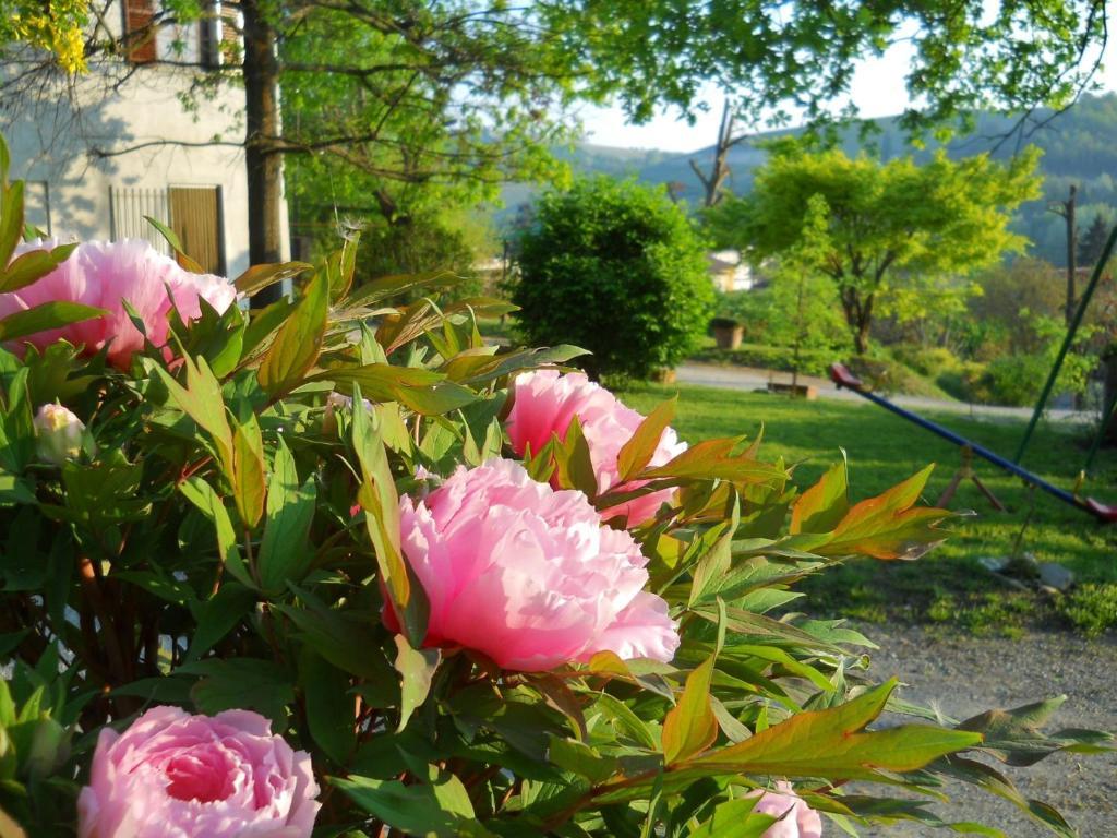 Tenuta Calabiana Diano d'Alba Bilik gambar